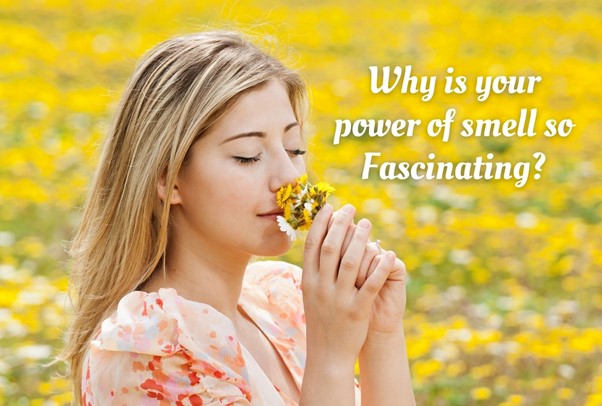Fabulous Aire Why is your power of smell so fascinating to us