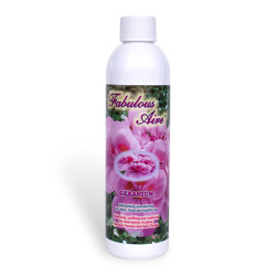 geranium-photoroom