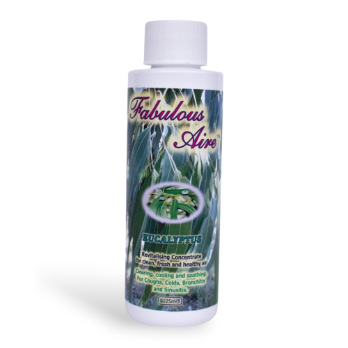eucalyptus